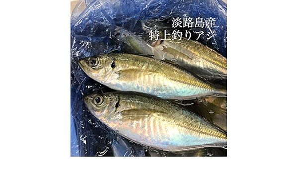 Amazon 特上釣りアジ 淡路島産 1尾150 0gサイズ 計4尾 マアジ 鯵 豊洲直送 淡路鯵4尾 冷蔵 株式会社okawari 鮮魚 通販