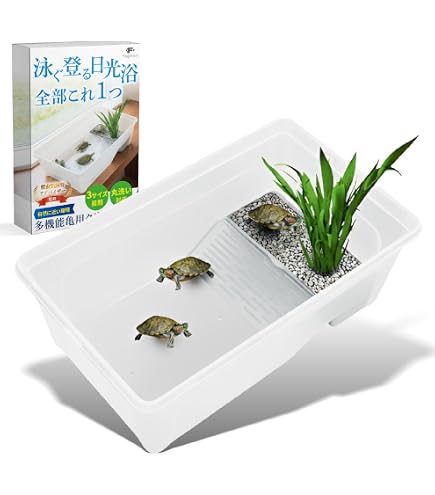 Amazon | ジェックス カメ元気 はじめて飼育セット | GEXWORLDWIDE