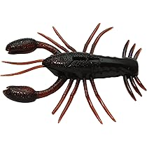 レイドジャパンセット Amazon.co.jp: レイドジャパン(Raid Japan) ZARIGANIST