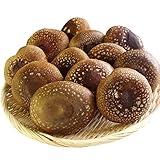 産直だより　島根奥出雲椎茸　オリジナル椎茸　雲太1号　優等　1キロ（12から15本）