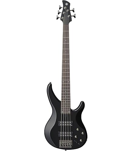 Amazon.co.jp: Ibanez(アイバニーズ) GIO Series 5-String Electric