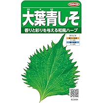 Amazon | サカタのタネ 実咲野菜3084 大葉青しそ 00923084 | 野菜