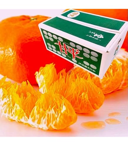 Amazon.co.jp: 【絶品】高級みかん「せとか」約5kg 特選 糖度:約13-14