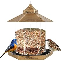 61eGxrDUo3L._AC_UL210_SR210,