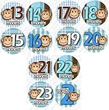 13-24 MONTHS BLUE MONKEY STRIPE Onesie Stickers Baby Shower Gift Photo Shower Stickers, Baby month s