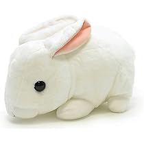 あにあーる様　箱入りぬいぐるみ2個セット　うさぎ　月 Amazon.co.jp: AQUA ぬいぐるみ ファーム もちもち うさぎ 大