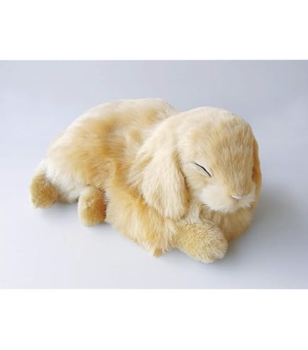Amazon.co.jp: ニニアンドキノ パーフェクトペット (小サイズ