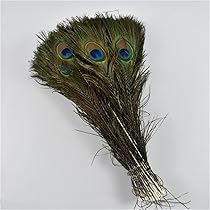 61eR7RsH8fL._AC_UL210_SR210,