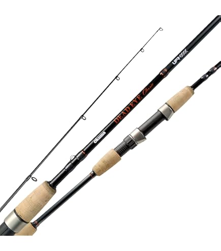 Daiwa DRAGGER X 100H-3 Shojiging Rod : Amazon.com.au: Sports