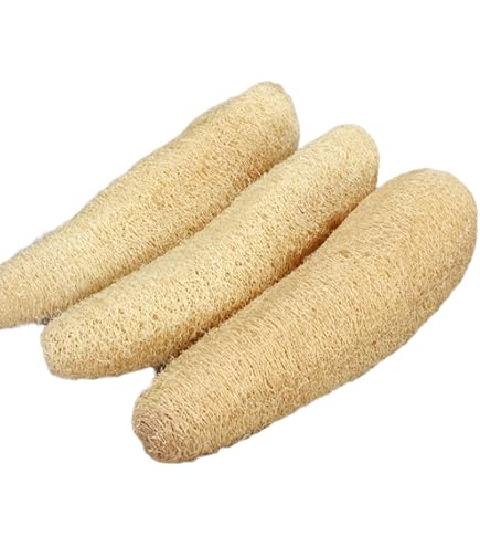 肉厚　4本 25～30cmへちまたわしスポンジエコ生活 無農薬無漂白 Amazon｜12枚 無農薬無漂白 へちまスポンジ 乾燥へちまたわし エコ生活