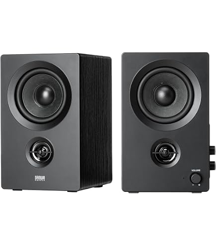 Amazon.co.jp: ONKYO WAVIO ル・シータ アンプ内蔵スピーカー 6W+6W GX 