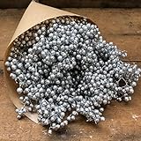 シルバー ペッパーベリー ドライフラワー ハーバリウム アロマワックス 素材 リース