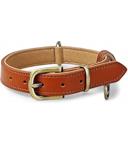 Amazon | (ルイヴィトン)LOUIS VUITTON M58071-M58056 レッス