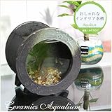 信楽焼　水槽丸型ミニ（茶色） 水槽 セット　すいそう　スイソウ　陶器　 金魚鉢 水鉢 陶器 su-0210 (茶色)