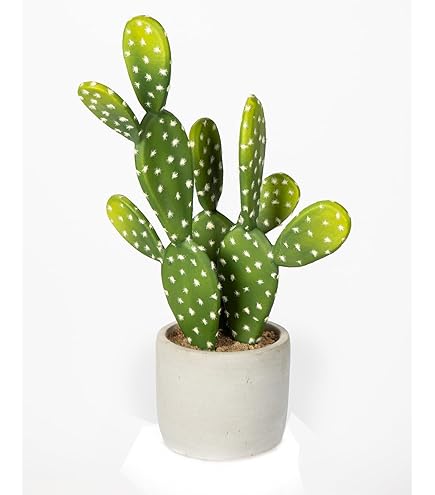 Amazon | フェイクグリーン [FARM] ウチワサボテン ポット 31 | Brown