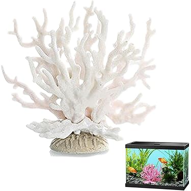 Amazon.co.jp 売れ筋ランキング: 水槽用サンゴ の中で最も人気の
