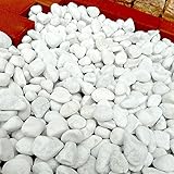 天然石 玉石砂利 3-4cm サンプル スノーホワイト (ガーデニングに最適 白色砂利）