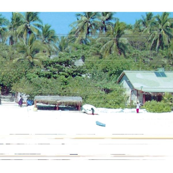 Amazon.co.jp: Resort: ミュージック