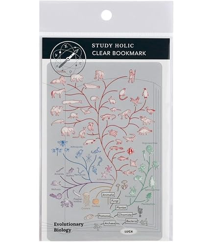 Amazon.co.jp: キム ミンジュ Pro Memoria 写真集 フォトブック 限定盤