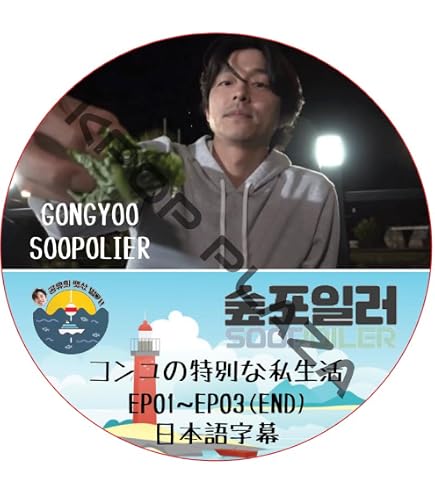 Amazon.co.jp: コンユ DVD YOU IN RADIO (EP01-EP02 END) 日本語字幕