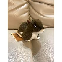 やまね工房 きつね ぬいぐるみ 落合けいこ ハンドメイド 手作り 狐 ねむり Amazon.co.jp: やまね工房 きつね ぬいぐるみ 落合けいこ 狐