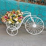 HY フラワーラックアイアンアートヨーロッパの創造的な自転車の装飾のリビングルームのインテリアフロアの花瓶の棚 (サイズ さいず : L61CM*W25CM*H36CM)