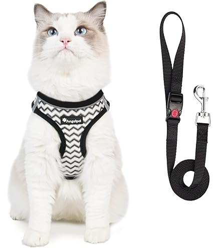 手乗りサイズ猫ちゃん BTM 【全品P5倍☆今夜20時〜4H限定！】キャットタワー 据え置き
