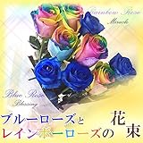 ［ビズフラワー］オランダ産高級ブルーローズ５本とレインボーローズ５本の計10本の花束