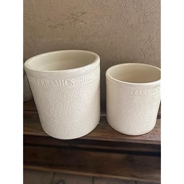 Amazon.co.jp 最新リリース: 鉢 の新着ランキングです。