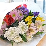 [florence du] 生花 店長おまかせ 切花 和花 詰め合わせ 教室用 練習用 切り花