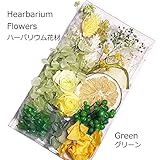 ハーバリウム　花材セット (琉球ガラスグリーン)