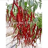 200pcsPromotion long chili red pepper seeds Healthy vegetable banana seeds fruit seeds for DIY home 