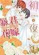 暴君ヴァーデルの花嫁 初夜編3 (ミッシイコミックス Next comics F)