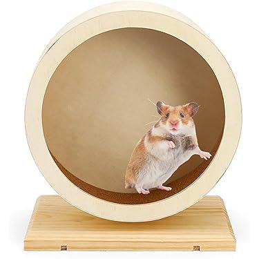 Amazon.co.jp 最新リリース: 小動物用回し車 の新着ランキングです。