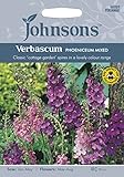 FYF 英国ジョンソンシード First Year Flowering Perennials Verbascum phoeniceum Mixed ファースト・イヤー・フラワリング・ペレニアル・ヴァー