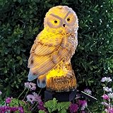 Bits and Pieces - Solar Powered LED Lighted Owl Stake - Garden Décor - Illuminate Any Plant, Bush, o