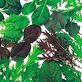種 野菜たね ベビーリーフ いろいろ葉っぱミックス 1袋(20ml) ゆうパケット/国華園 24年春商品