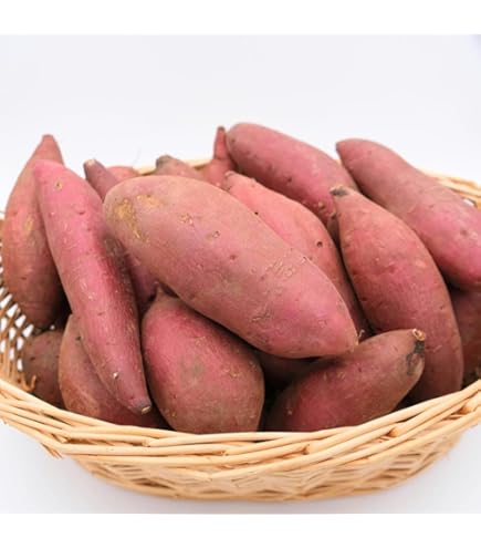 Amazon.co.jp: 京都産 海老芋 えびいも 大サイズ 5kg 8個前後入り