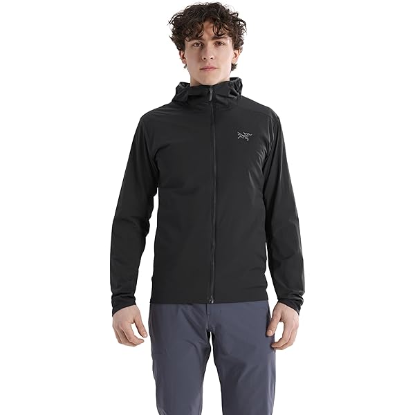 Amazon.co.jp: ARC'TERYX(アークテリクス) Beta LT Jacket Men's