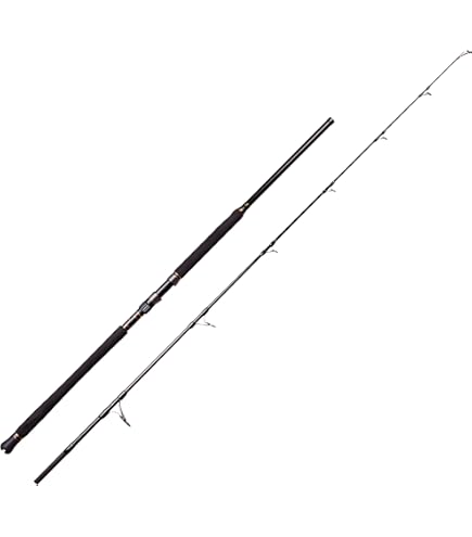 炙り！ スラマーキャスティングロッドslcs-71m マグロオフショア Amazon | PENN (ペン) SLAMMER CASTING スラマー キャスティング SLCS