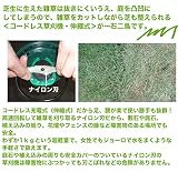 替刃10枚　～コードレス伸縮式草刈機用～　★新タイプ