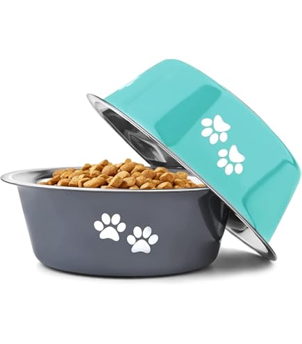 Luxury Designer Dog Bowl 32 Oz - Anti-Rust Metal, Non-Slip Base, Insulated For Food & Water