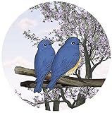 Screen Door Magnets - That ALWAYS STAY UP using our Exclusive Twist, Click and LOCK Design - Keep Pe