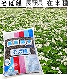 そば種 長野県在来種 種子１kg