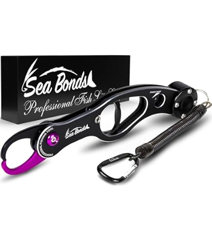 Amazon | アピア(APIA) Xband(エクスバンド) HD 265mm ゼータレッド