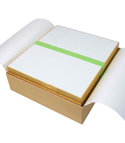 Amazon | 色紙・大色紙 和画仙ドーサ引/10枚(京都府知事指定伝統工芸品