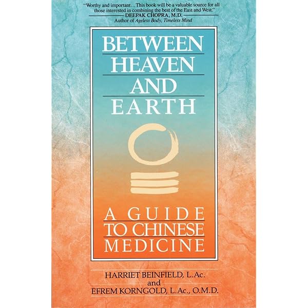 Applied Channel Theory in Chinese Medicine Wang Ju-Yi's