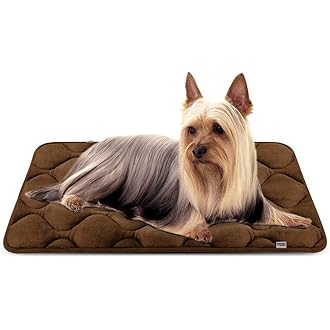 Amazon Co Jp 人気ギフトランキング 犬用ベッド クッション で ギフトの設定を使用して最もご注文いただいている商品