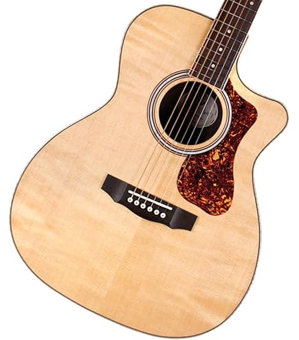 GUILD D-55 2014年製 FISHMANピックアップ ハードケース付き GUILD D-55 2014年製 FISHMANピックアップ ハードケース付き