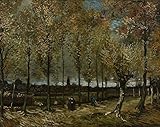 Van Gogh ポプラ1885とレーン Lane With Poplars 1885 キャンバス複製画 60X50cm 風景 絵画 完全に立体に複製 3D 印刷 美術品 部屋 壁掛け